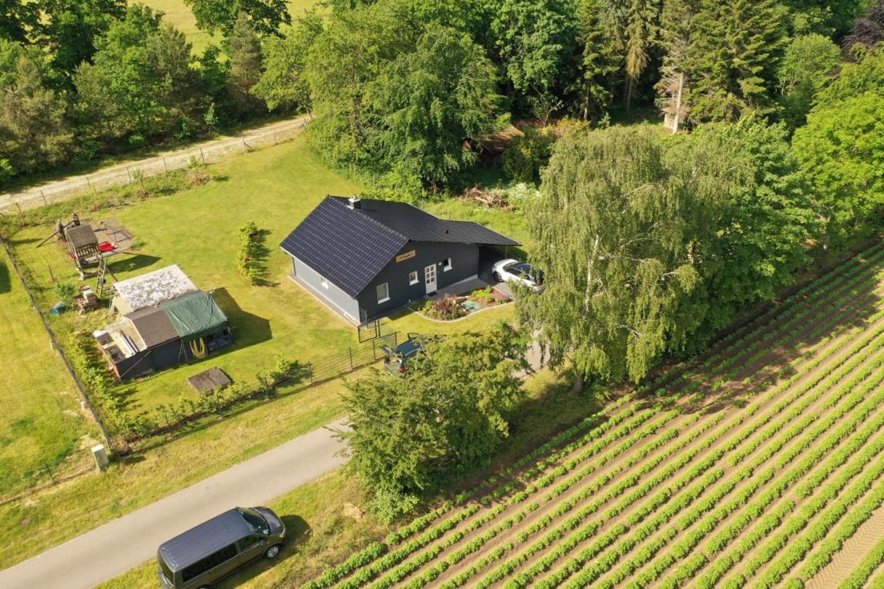 אלטנמדינגן Ferienhaus “ Lille Hyggehytte“ מראה חיצוני תמונה